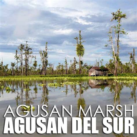 Agusan Del Sur March .